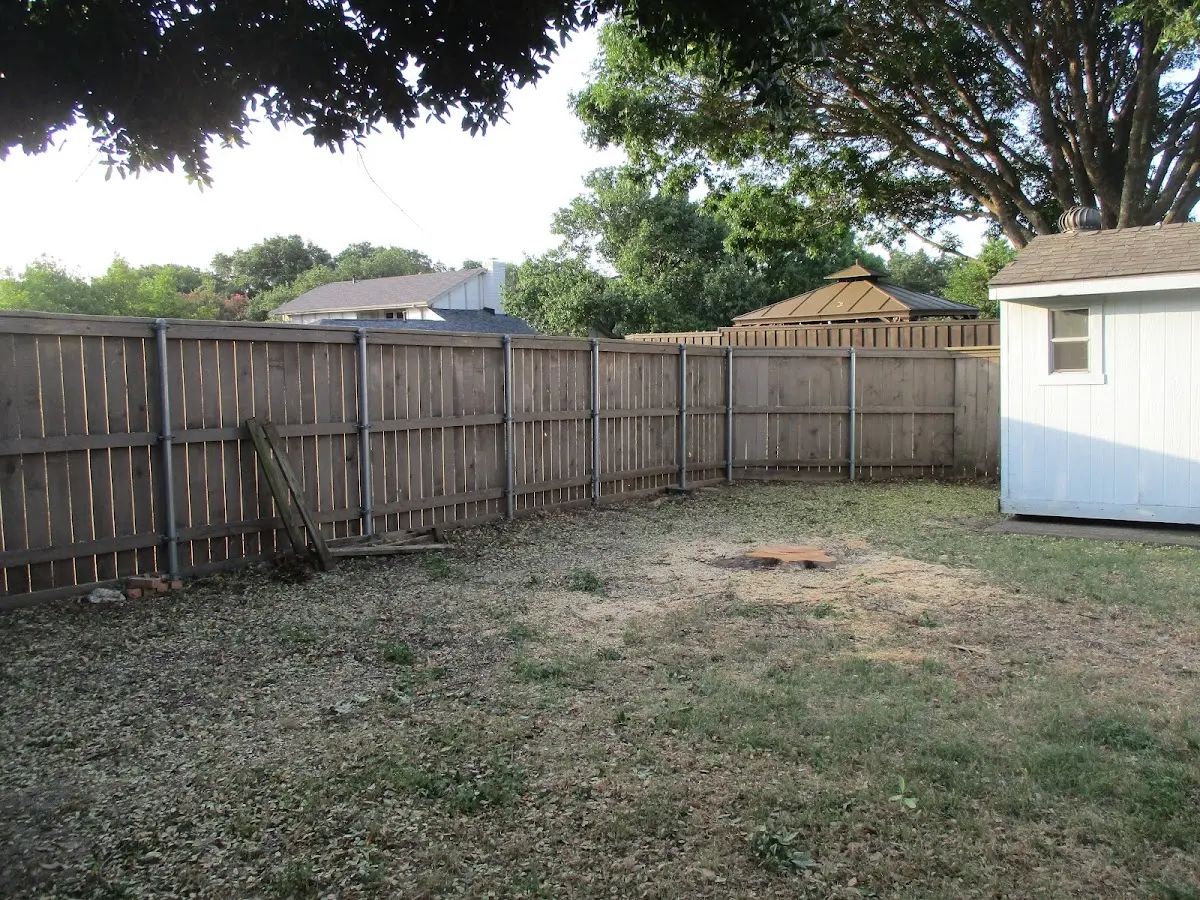 Cleared yard after professional tree removal in Northborough