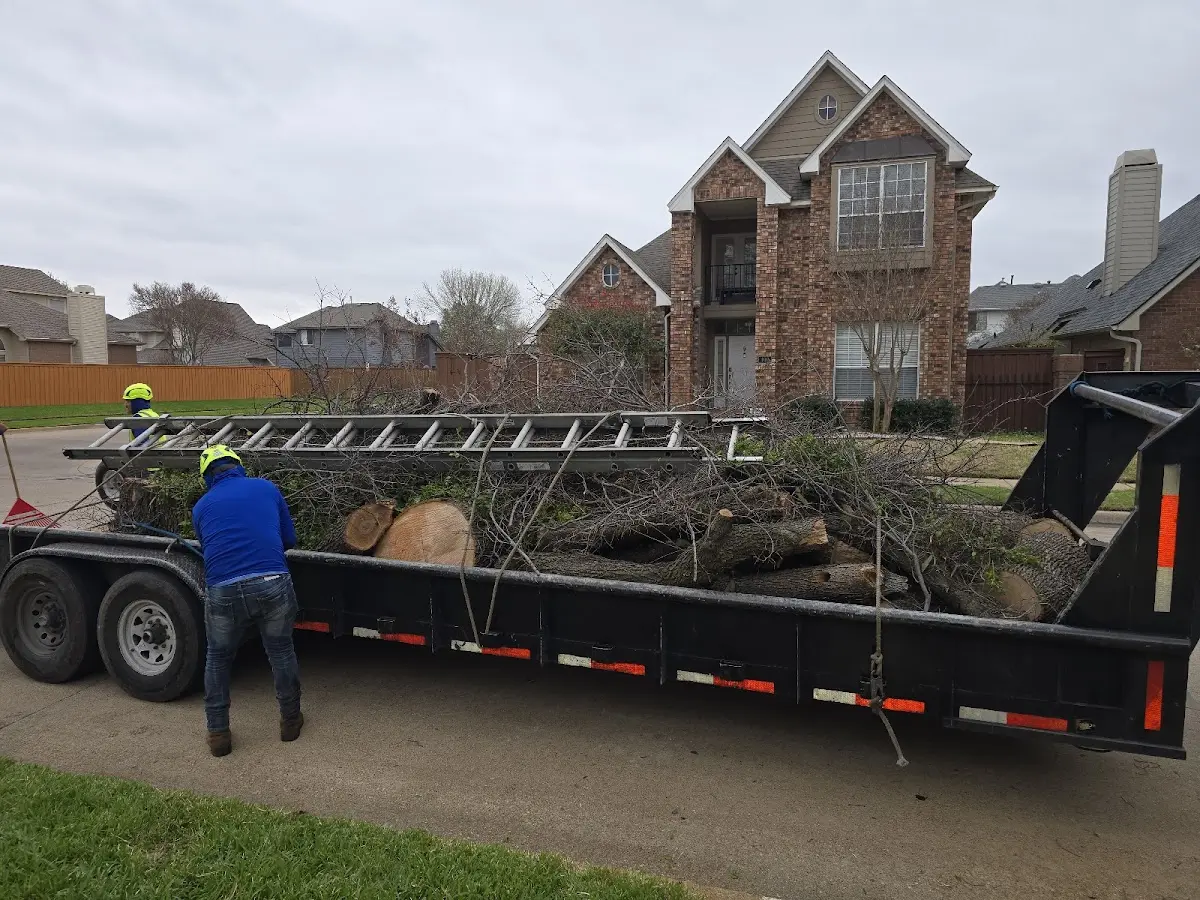 Expert Tree Removal with proper safety equipment in Northborough